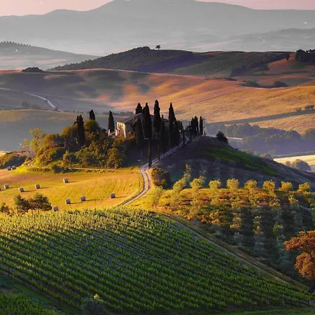 La Campanina-nel Cuore Di E Della Contrada